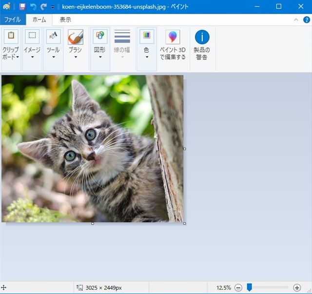 Windows ペイント で画像をトリミング 切り取る する方法 カラバリ