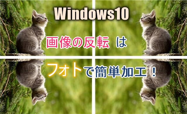 画像の反転 上下 左右 はwindows の フォト で簡単編集 カラバリ