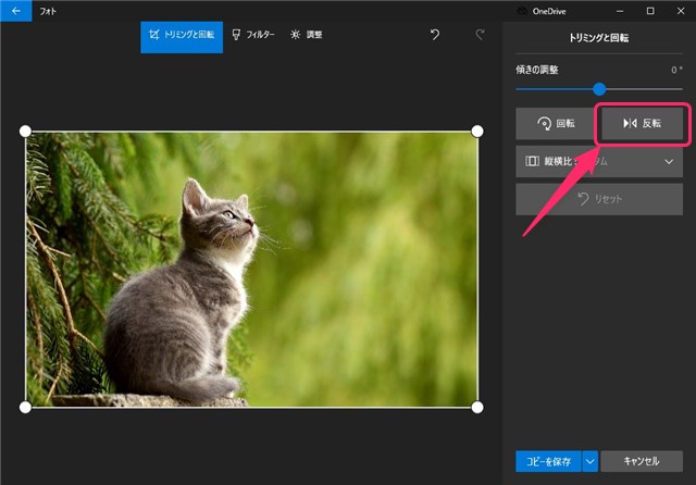 画像の反転 上下 左右 はwindows の フォト で簡単編集 カラバリ