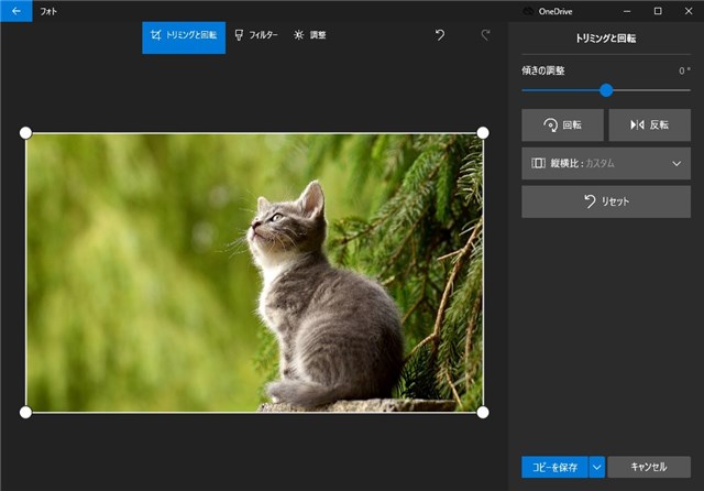 画像の反転 上下 左右 はwindows の フォト で簡単編集 カラバリ